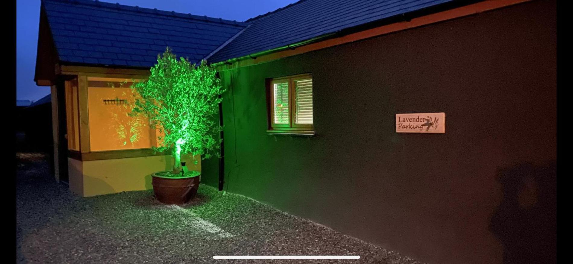 Lavender - Luxurious Barn Conversion - Blossom Farm Johnston Zewnętrze zdjęcie